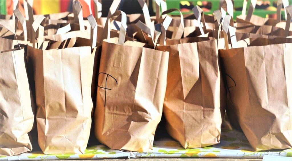 July 12 World Paper Bag Day MyNewsNE English