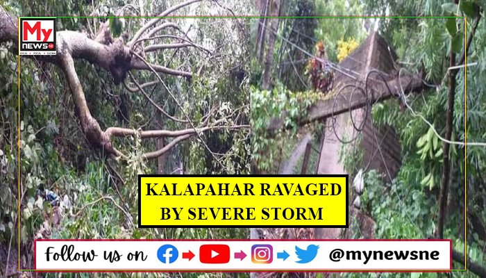 Kalapahar Area Ravaged by Severe Storm