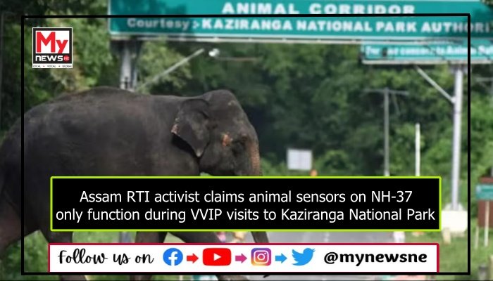 Assam RTI activist claims animal sensors on NH-37 only function during VVIP visits to Kaziranga National Park
