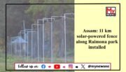 11-Kilometre Solar-Powered Fence Erected to Mitigate Human-Elephant Conflict in Assam