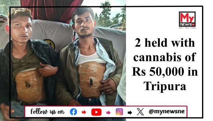 2 held with cannabis of Rs 50,000 in Tripura