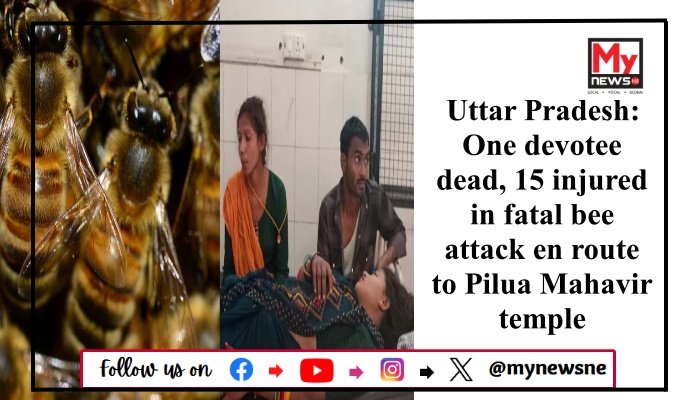 Uttar Pradesh: One devotee dead, 15 injured in fatal bee attack en route to Pilua Mahavir temple