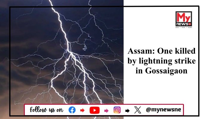 Assam: One killed by lightning strike in Gossaigaon