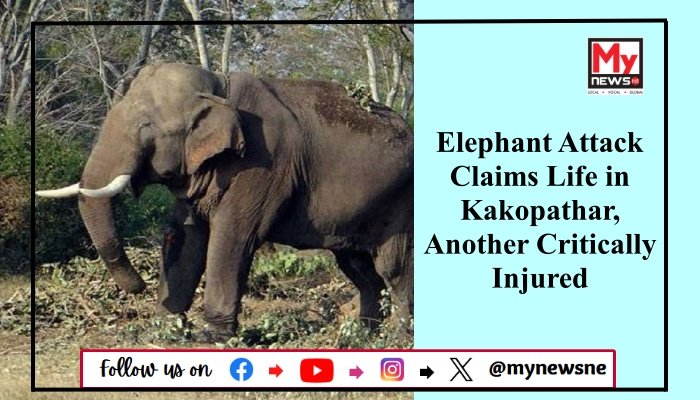Elephant Attack Claims Life in Kakopathar, Another Critically Injured