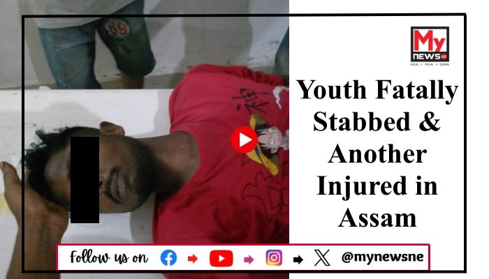 Youth Fatally Stabbed & Another Injured in Assam