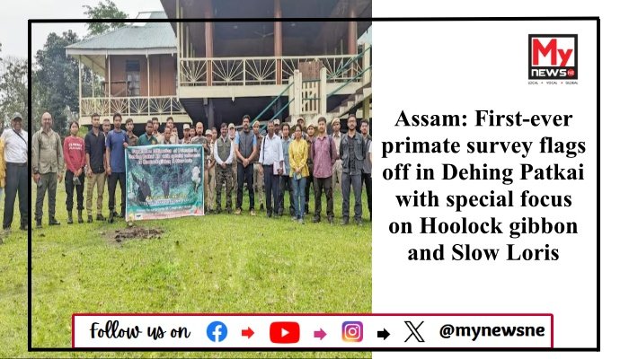 Assam: First-ever primate survey flags off in Dehing Patkai with special focus on Hoolock gibbon and Slow Loris