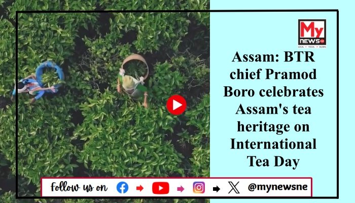 Assam: BTR chief Pramod Boro celebrates Assam's tea heritage on International Tea Day