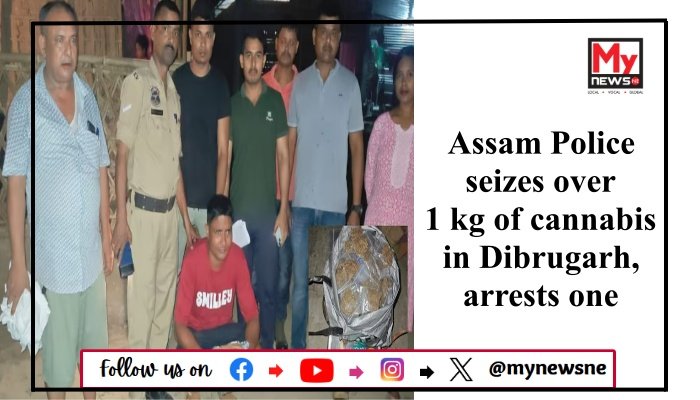 Assam Police seizes over 1 kg of cannabis in Dibrugarh, arrests one
