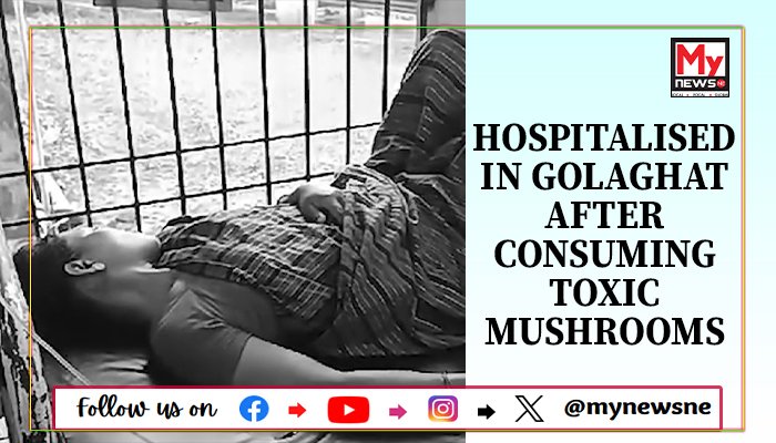 hospitalised in Golaghat after consuming toxic mushrooms