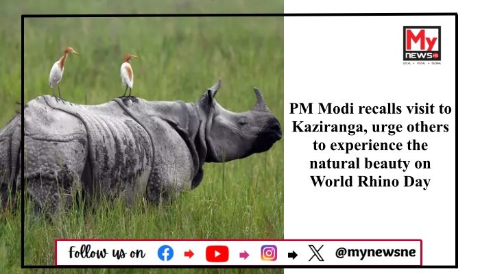PM Modi recalls visit to Kaziranga, urge others to experience the natural beauty on World Rhino Day