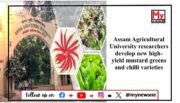 Assam Agricultural University Develops High-Yield Mustard and Chilli Varieties to Boost Farming Productivity