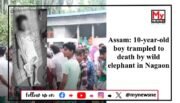 Assam: Human-Elephant Conflict Claims Life of 10-Year-Old Boy in Nagaon