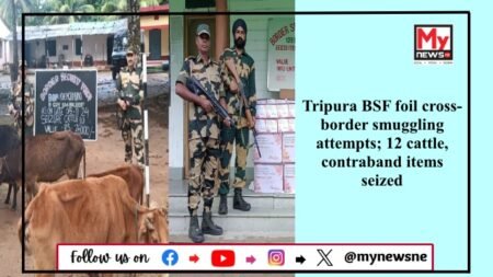 BSF Thwarts Smuggling Attempts Along Indo-Bangladesh Border in Tripura