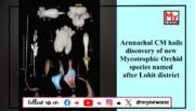 New Orchid Species ‘Gastrodia lohitensis’ Discovered in Arunachal Pradesh