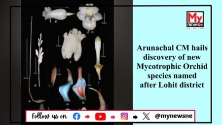 New Orchid Species ‘Gastrodia lohitensis’ Discovered in Arunachal Pradesh