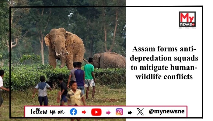 Assam forms anti-depredation squads to mitigate human-wildlife conflicts