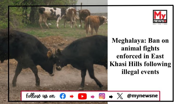 Meghalaya: Ban on animal fights enforced in East Khasi Hills following illegal events