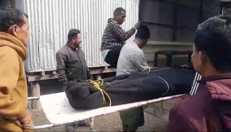 Assam: Elderly woman killed, husband injured in wild elephant attack in Gossaigaon