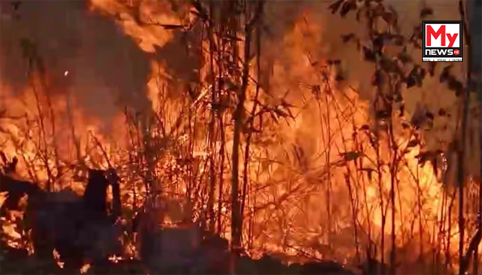 Nagaland: Forest burning banned in Kohima amid surge in fire incidents