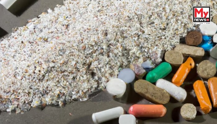 Meghalaya houseowners to face prosecution if properties used for drug trafficking: ANTF